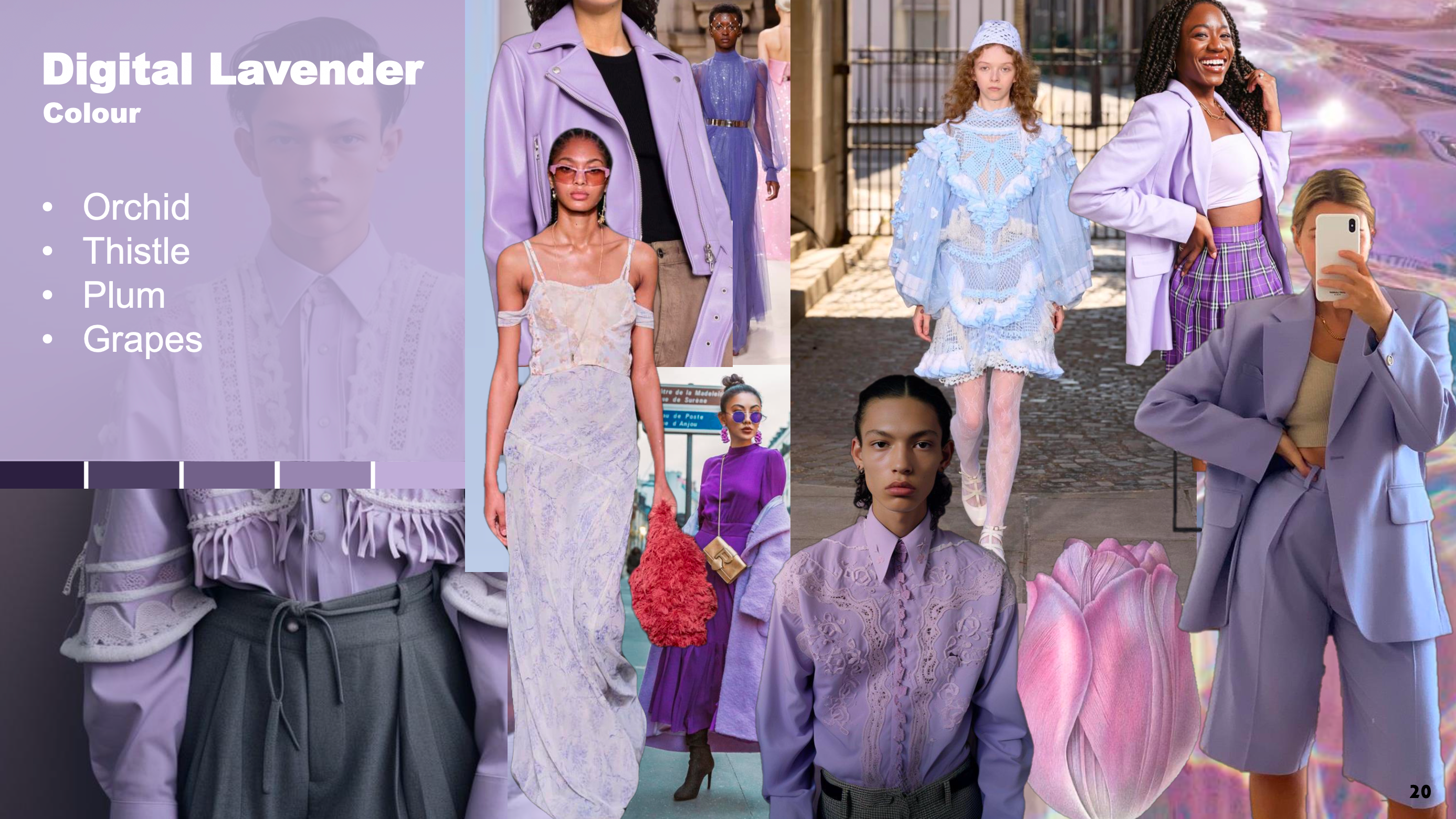 Digital Lavender